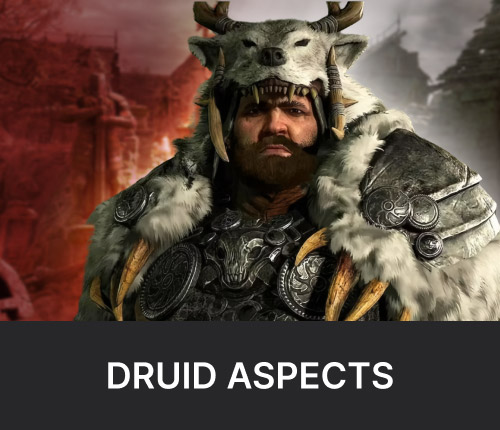 God Roll Aspects for Druid